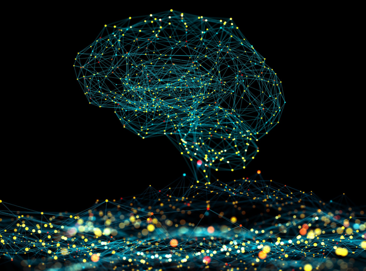 Neural network brain